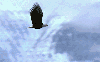 【企业动态】ST汇科新增1件行政处罚被罚款200万元